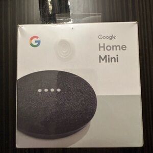 Google Nest Mini in Dark Gray
